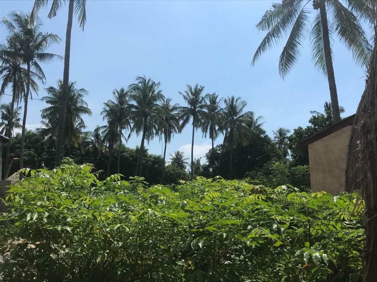 غيلي مينو Meno Madia Bungalows المظهر الخارجي الصورة