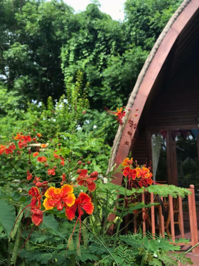 غيلي مينو Meno Madia Bungalows المظهر الخارجي الصورة